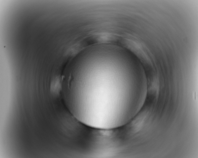 X0000096690478200802121236