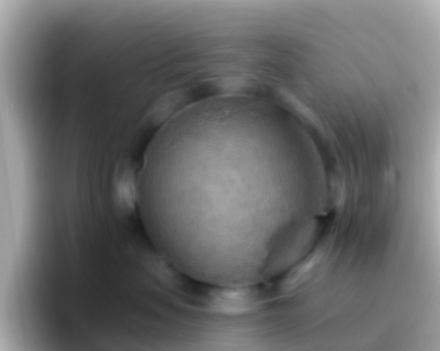 X0000096690479200802121236