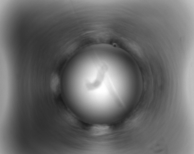 X0000096690480200802121236