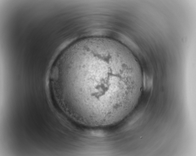 X0000096690483200802121235