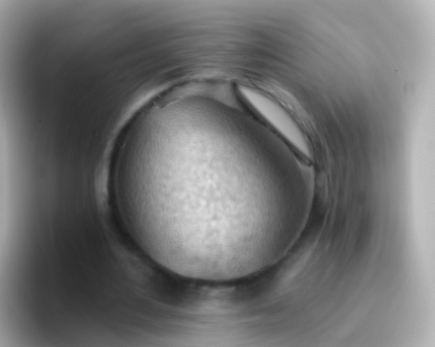 X0000096690484200802121235