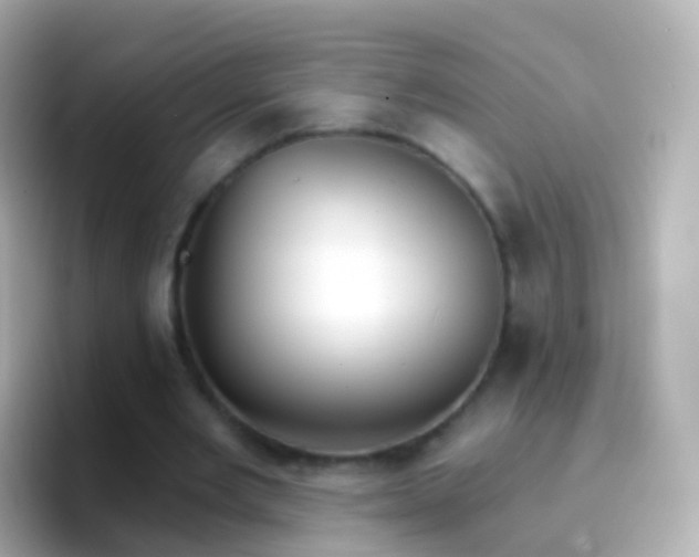 X0000096690485200802121235