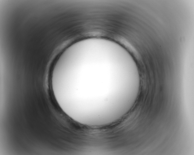 X0000096690486200802121235