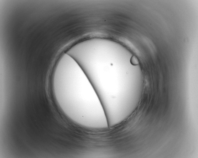 X0000096690487200802121235