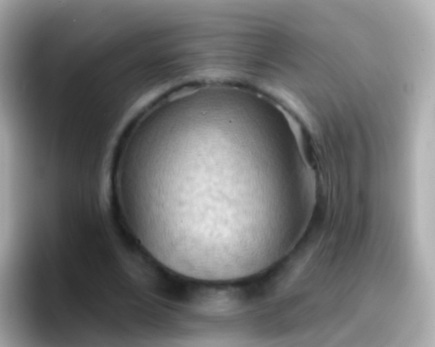 X0000096690488200802121235