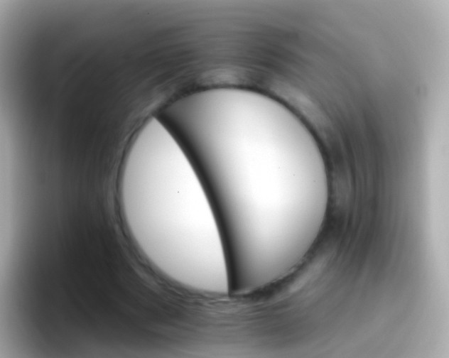 X0000096690489200802121235