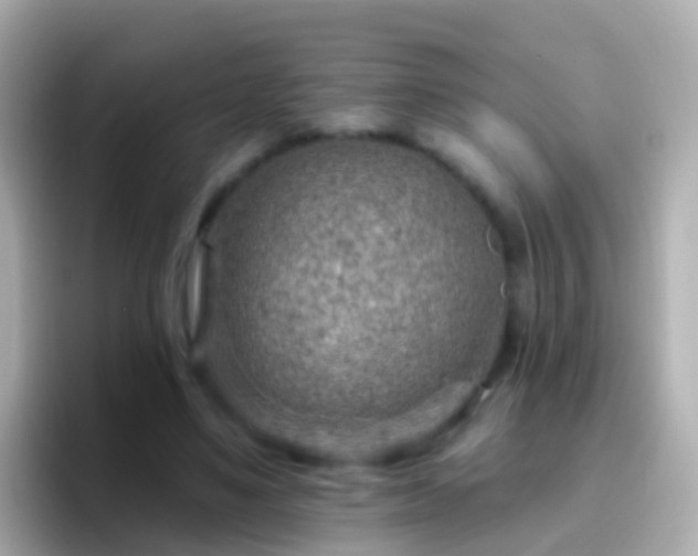 X0000096690491200802121235