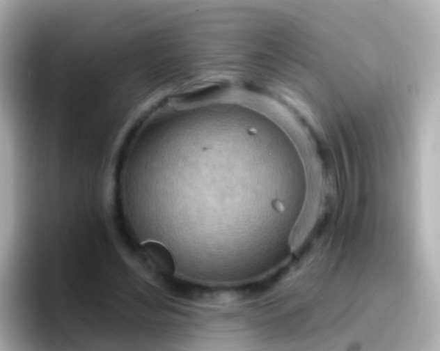 X0000096690492200802121235