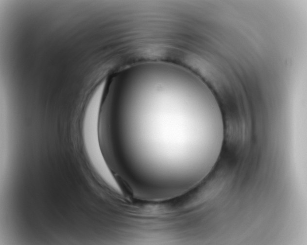 X0000096690493200802121235