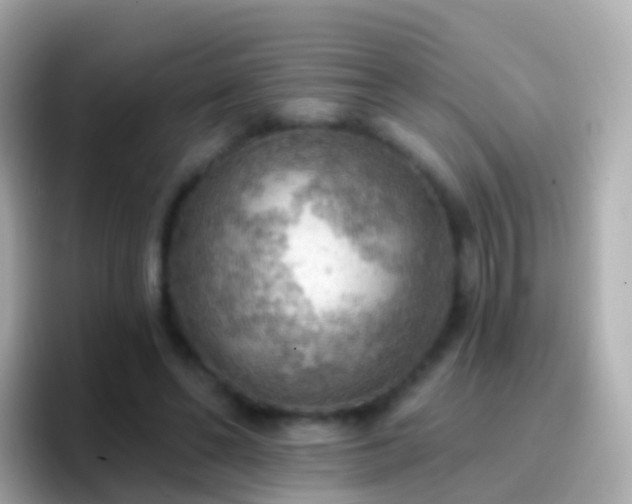 X0000096690494200802121235