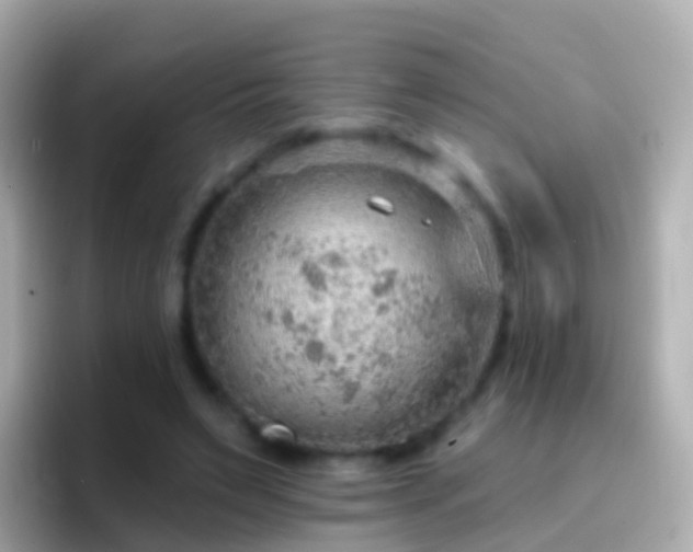 X0000096690495200802121235