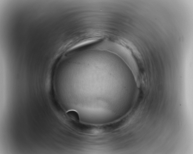 X0000096690496200802121235