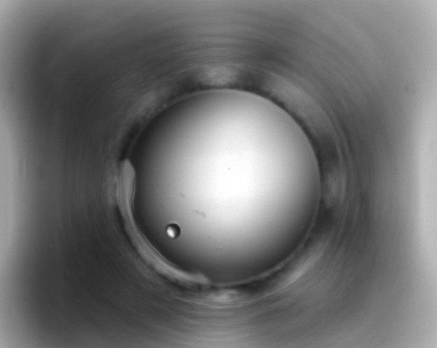 X0000096690497200802121235