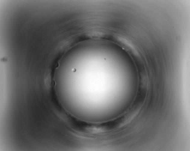 X0000096690498200802121235