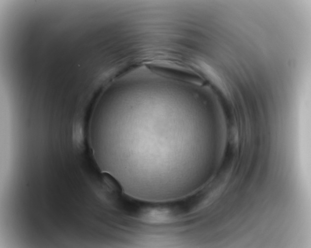 X0000096690500200802121235