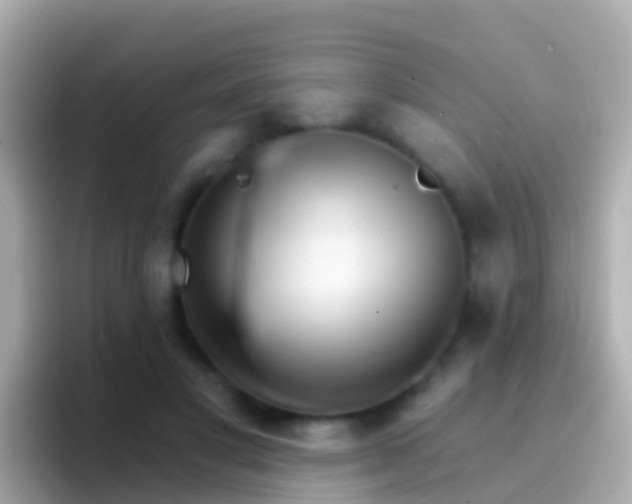 X0000096690501200802121235