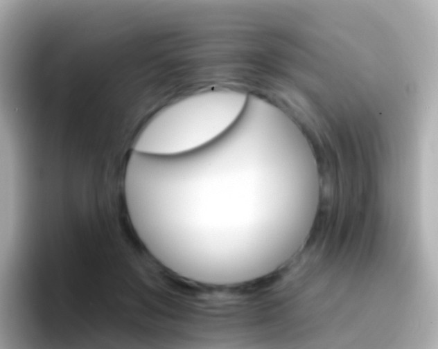 X0000096690503200802121235