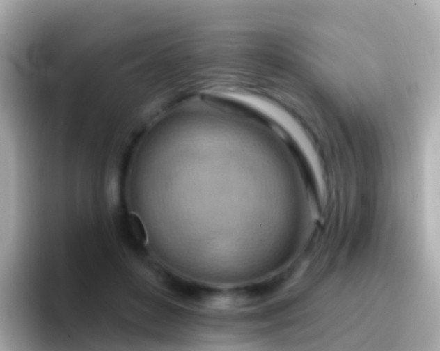 X0000096690504200802121235