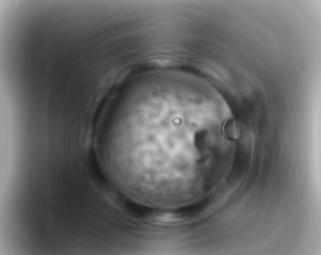 X0000096690507200802121235