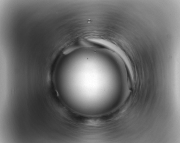 X0000096690508200802121235