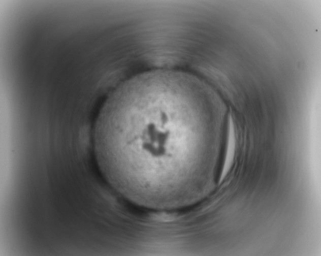 X0000096690511200802121235