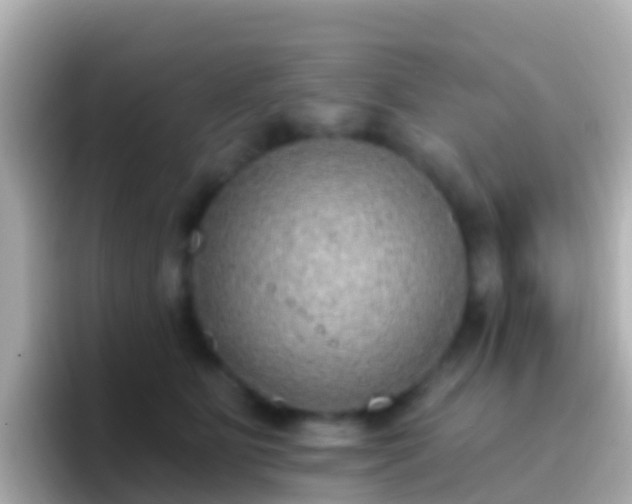 X0000096690515200802121235