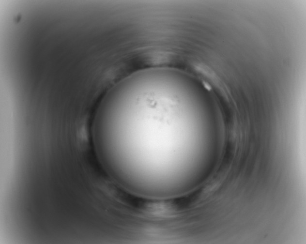 X0000096690516200802121235