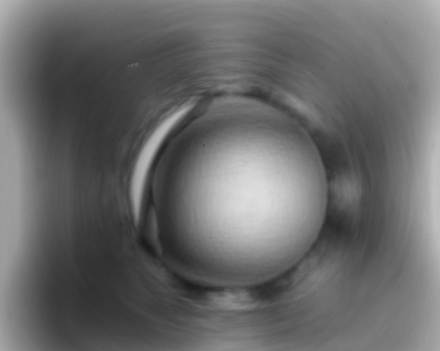 X0000096690517200802121235