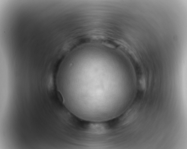 X0000096690520200802121235