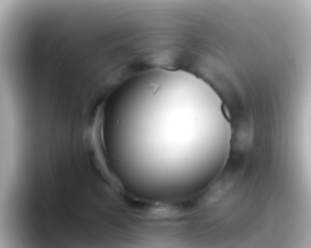 X0000096690521200802121235