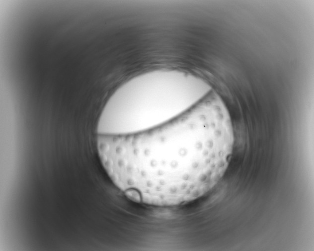 X0000096690523200802121235