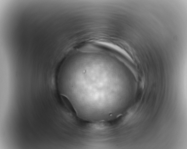 X0000096690524200802121235