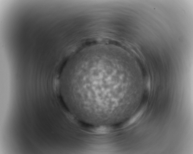 X0000096690527200802121235