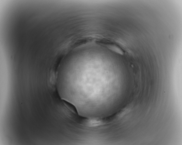 X0000096690528200802121235