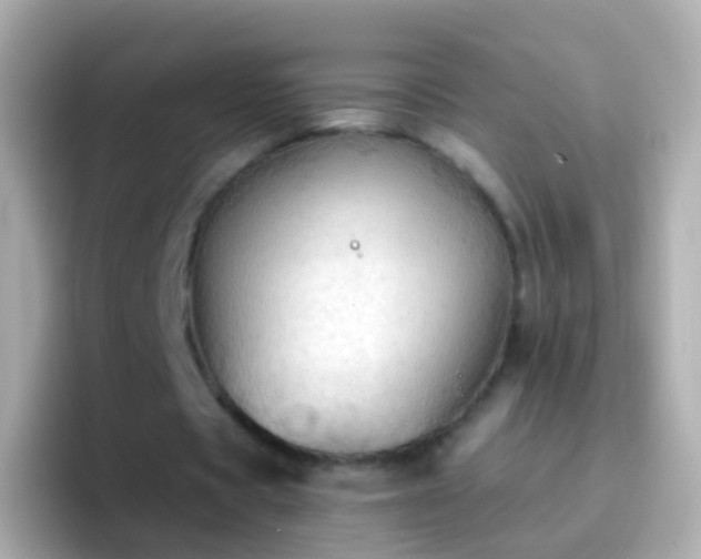 X0000096690529200802121234