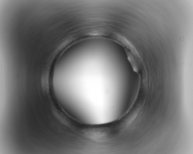 X0000096690530200802121234