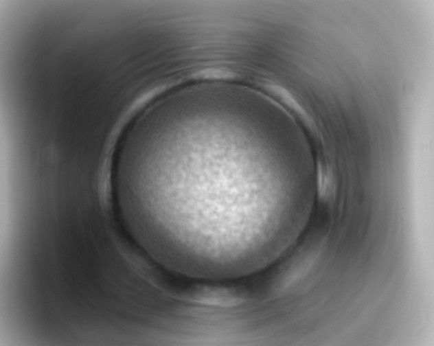 X0000096690531200802121234