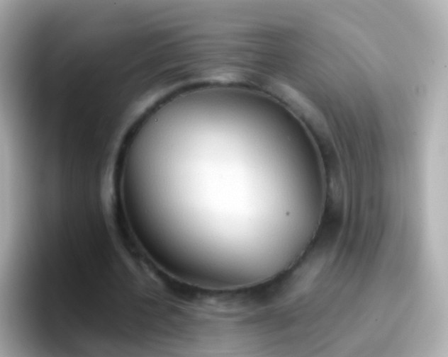 X0000096690532200802121234