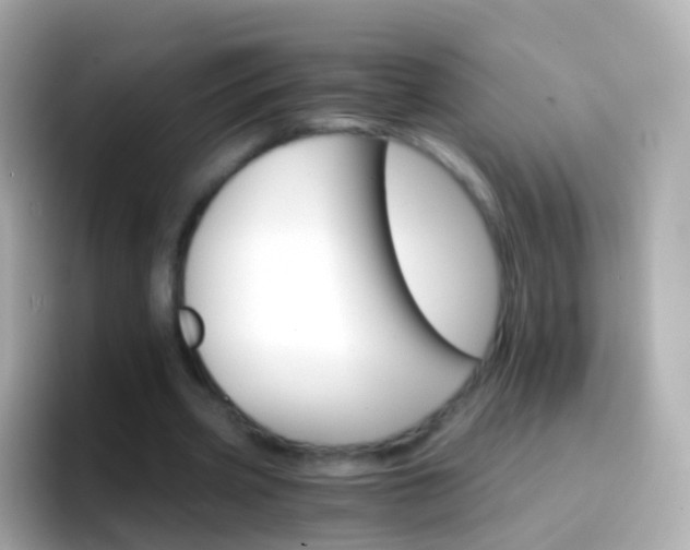 X0000096690533200802121234