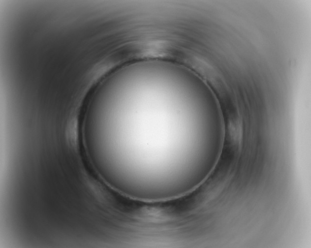 X0000096690534200802121234