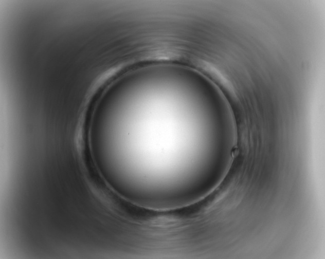 X0000096690536200802121234