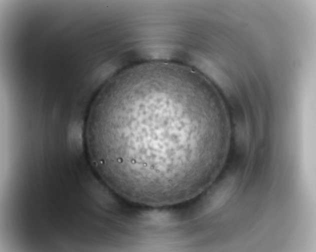 X0000096690537200802121234