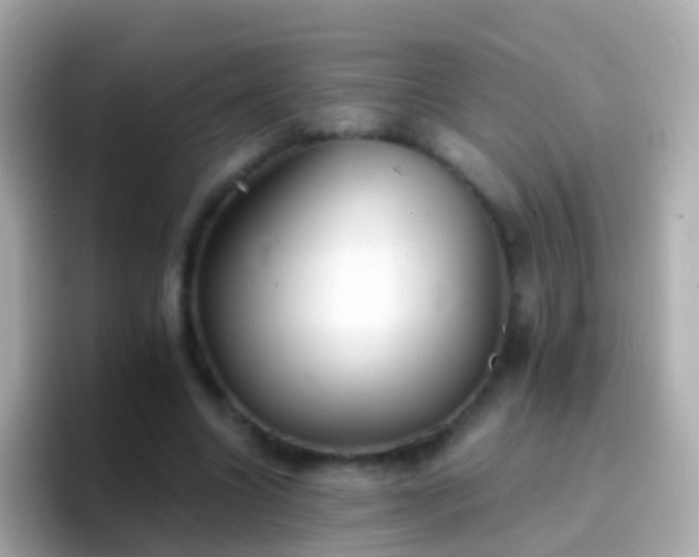 X0000096690538200802121234