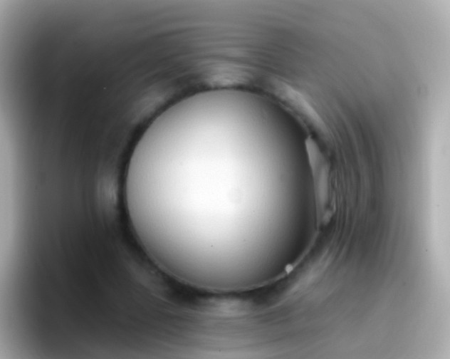 X0000096690539200802121234