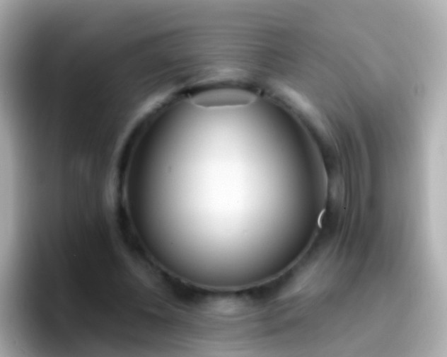 X0000096690540200802121234