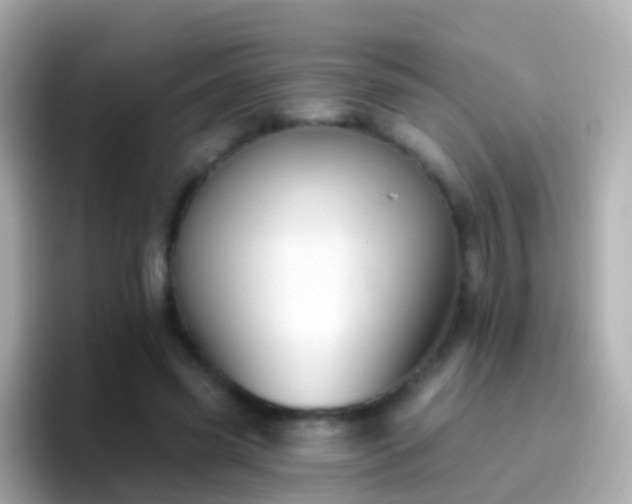 X0000096690541200802121234