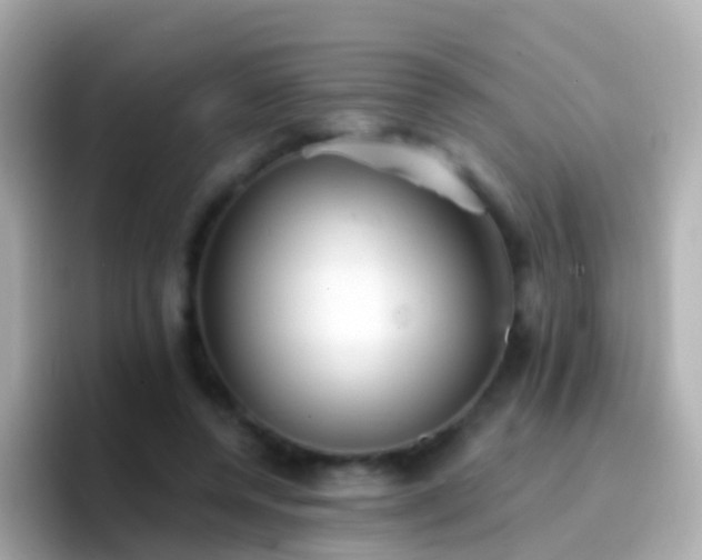 X0000096690544200802121234