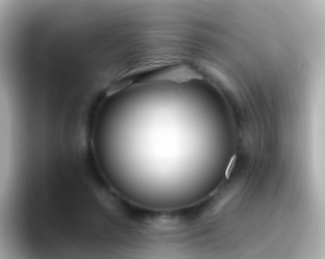 X0000096690546200802121234