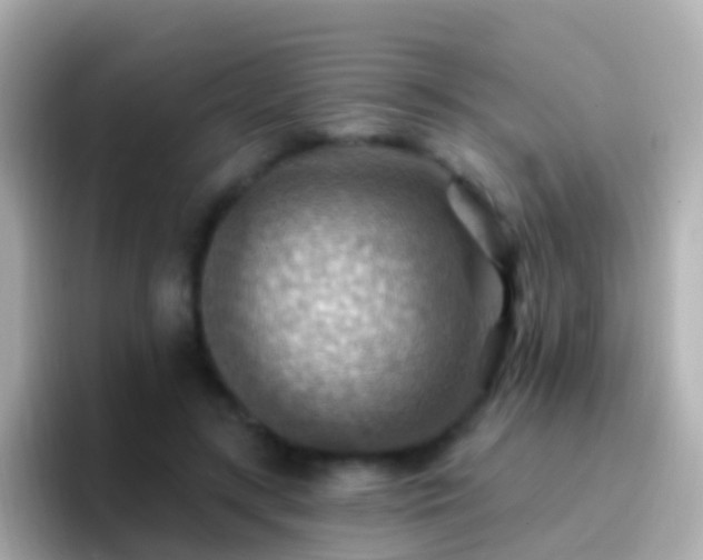 X0000096690547200802121234