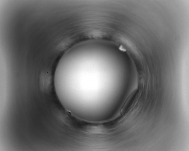 X0000096690548200802121234